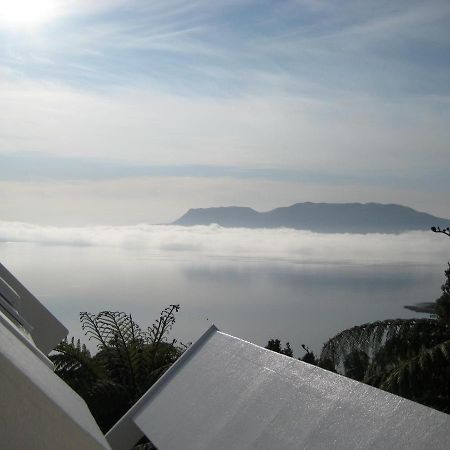 Te Whare -Lake Tarawera Tree-Top Nest Hotel ภายนอก รูปภาพ