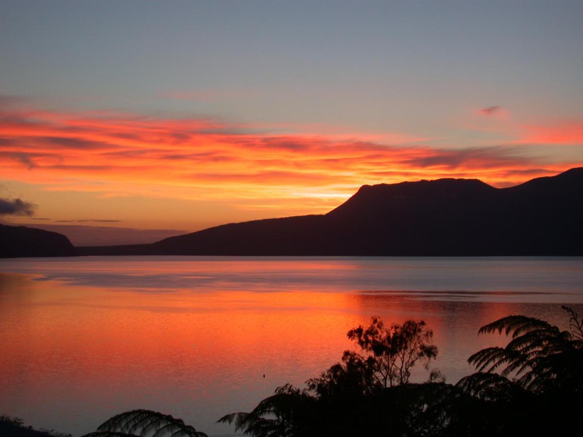 Te Whare -Lake Tarawera Tree-Top Nest Hotel ภายนอก รูปภาพ